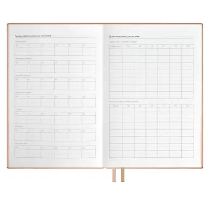 Ежедневник учителя А5 160л "ШЕВРЕТ РОЗОВЫЙ" кожзам, блинт.тисн., цветн.срез, два ляссе, закладка из иск.кожи - фото 9