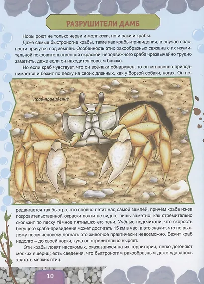 Животные строят - фото 3