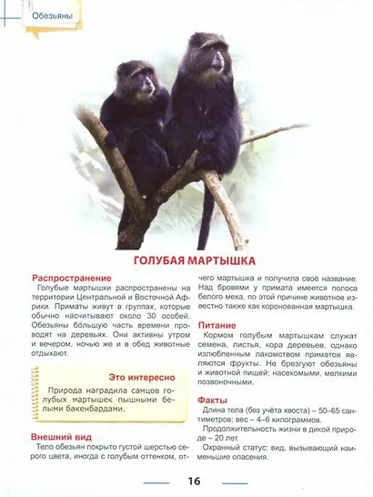 ЭНЦИКЛОПЕДИЯ ДЛЯ ДЕТЕЙ. ОБЕЗЬЯНЫ - фото 2
