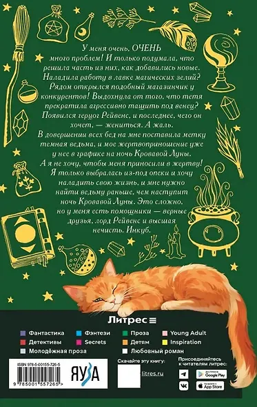 Хозяйка магической лавки. Книга 2 - фото 2