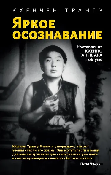 Яркое осознавание. Наставления Кхенпо Гангшара об уме - фото 1