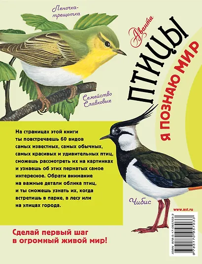 Птицы - фото 2