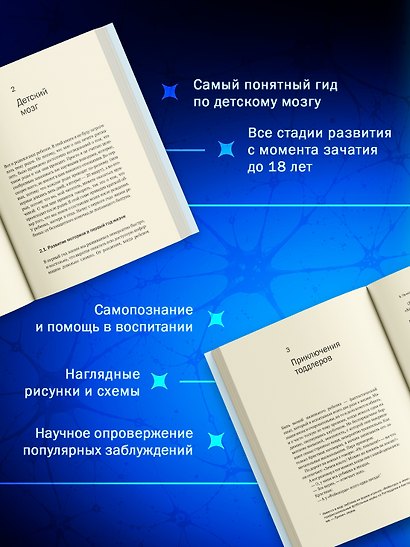 Мозг в стадии разработки. Загадки нейробиологии: все, что мы знаем и не знаем о развитии мозга - фото 4