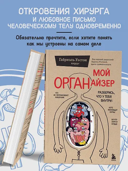 Мой ОРГАНайзер. Разберись, что у тебя внутри: на что злится сердце, кого ненавидят нервы и что не переваривает кишечник - фото 7
