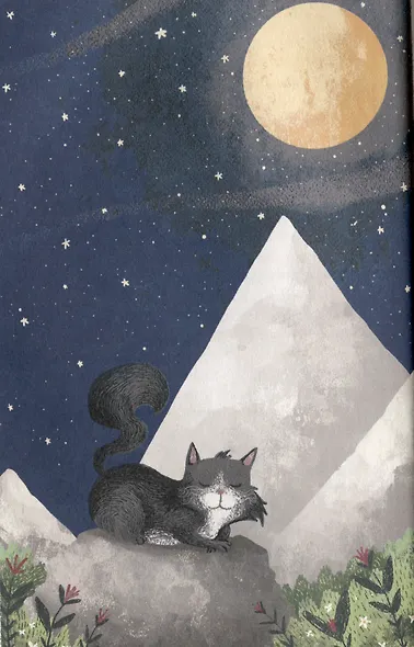 Кот, покоривший вершину - фото 3