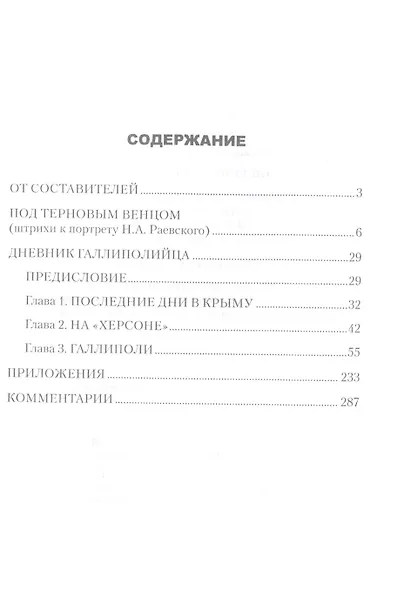 Дневник галлиполийца - фото 2