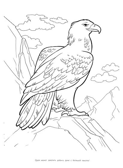 Мегараскраска. Животные - фото 5