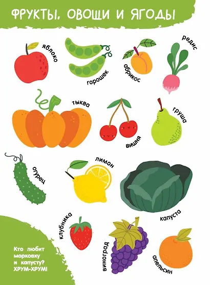 Мои первые слова в картинках - фото 11