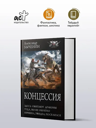 Концессия - фото 3