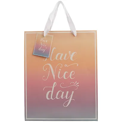 Пакет А4 32*26*12 Have A Nice Day нейтр., бум.мат.ламинат - фото 2