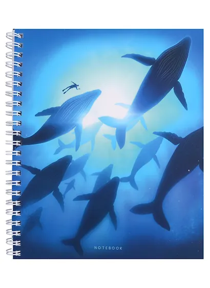 Тетрадь в клетку Listoff, "В дымке", 96 листов, в ассортименте - фото 5