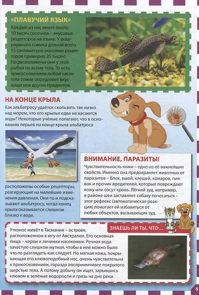 Невероятные сверхвозможности животных. Детская энциклопедия - фото 4