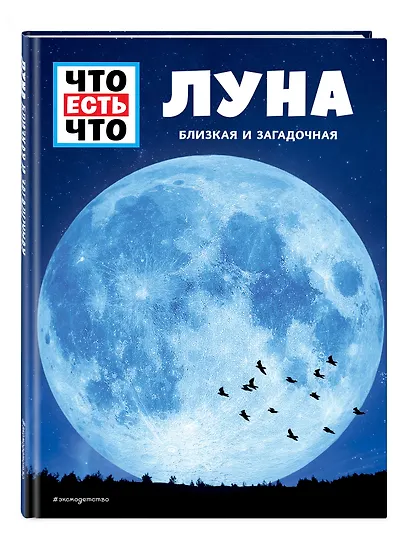ЛУНА. Близкая и загадочная - фото 3