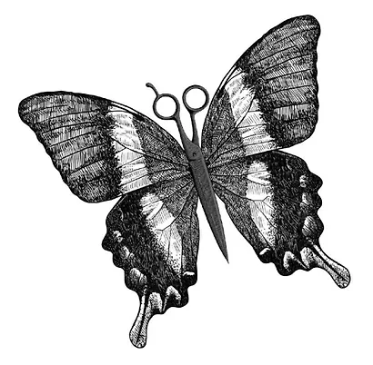 Черные бабочки - фото 5