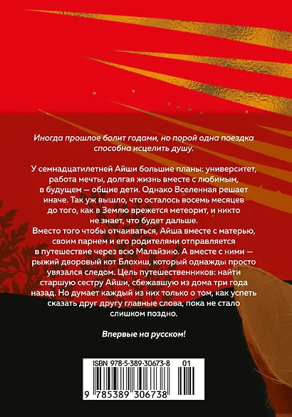 Выходя из дома, не забудьте кота - фото 2