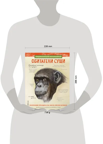 Обитатели суши - фото 4