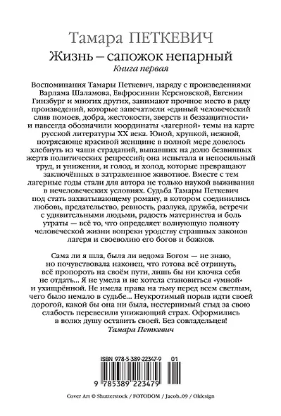 Жизнь — сапожок непарный. Книга первая - фото 2