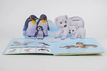 В зоопарке - фото 9