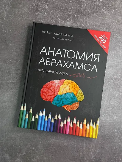 Анатомия Абрахамса. Атлас-раскраска - фото 5