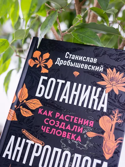 Ботаника антрополога. Как растения создали человека. Цветочки-ягодки - фото 11