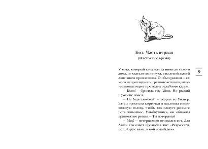 Выходя из дома, не забудьте кота - фото 11