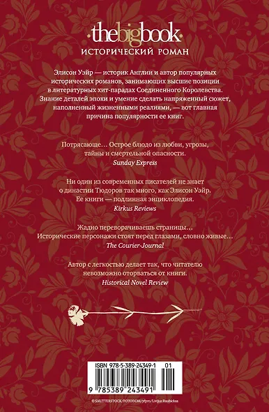 Трон и плаха леди Джейн - фото 2