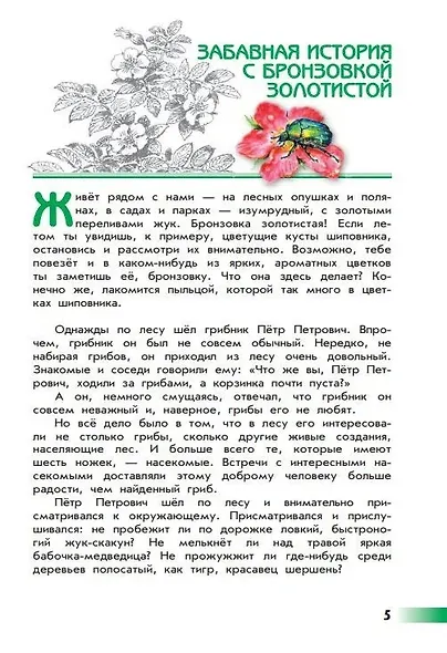 Плешаков. Великан на поляне, или Первые уроки экологической этики. /ШкР - фото 6
