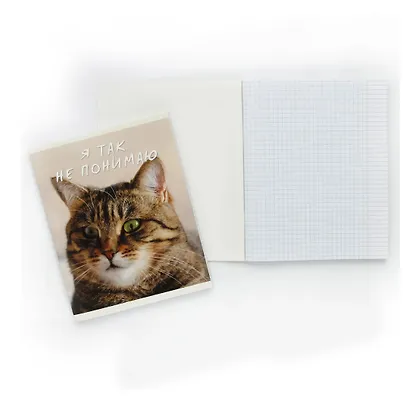 Тетрадь в клетку Listoff, "Котики", 96 листов - фото 7