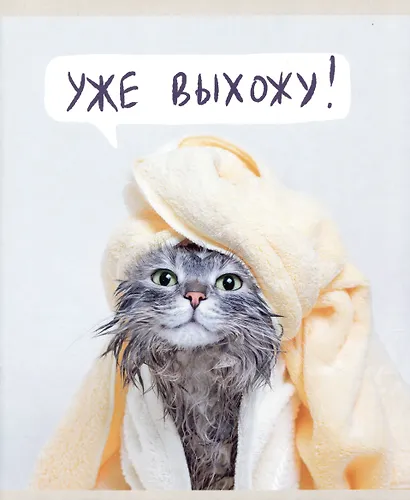 Тетрадь А5 48л лин. "Утро кошечки (Эксклюзив)" скрепка, мелов.картон, поля - фото 1