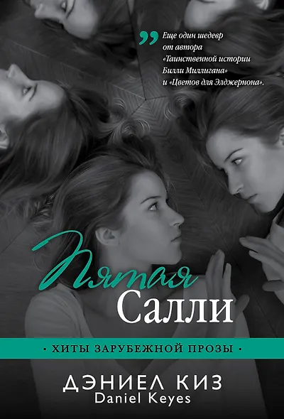 Пятая Салли - фото 1