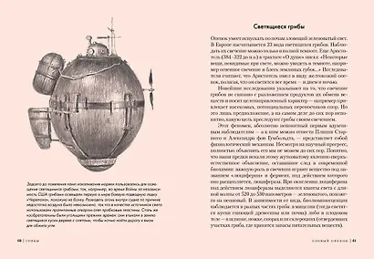 Грибы: Обитатели скрытого мира - фото 6