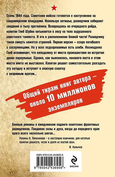 Смерть в тылу - фото 2