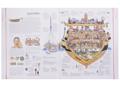 Жизнь на корабле. Чудесные сечения - фото 4