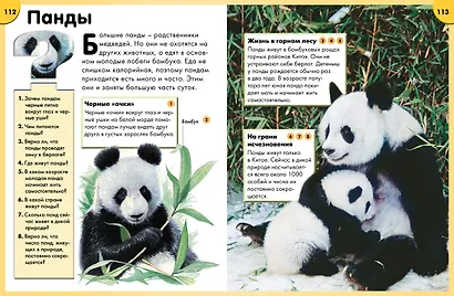 Обо всём на свете в вопросах и ответах. Энциклопедия - фото 5