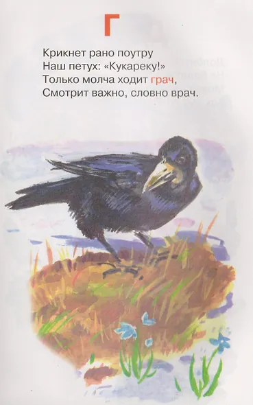 Азбука - фото 4