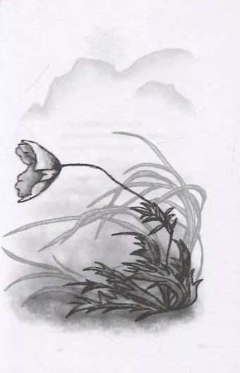 Цветок эдельвейса. Цикл зарисовок из семнадцати слогов - фото 7