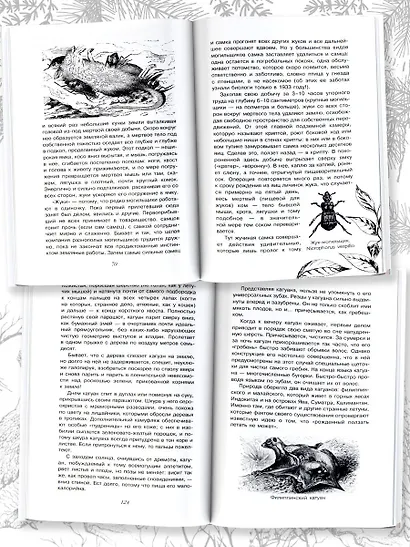 С вечера до утра - фото 6