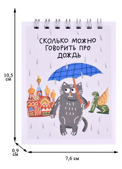 Блокнот А7 60л кл. СПб "Сколько можно говорить про дождь" спираль, УФ лак - фото 2