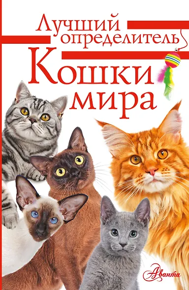 Литература с видео-уроками - фото 1