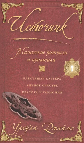 Источник. Магические ритуалы и практики - фото 1
