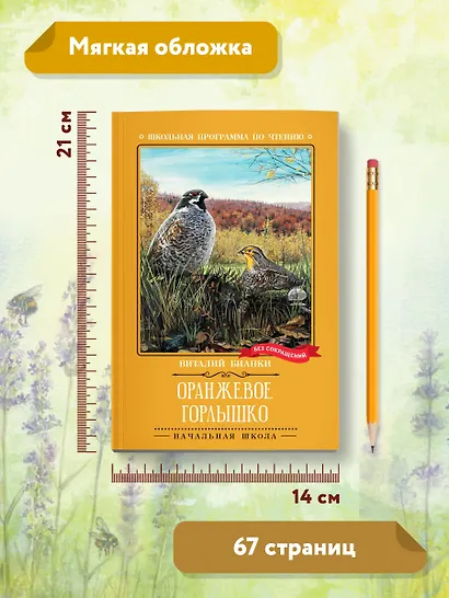 Оранжевое Горлышко: повесть - фото 8