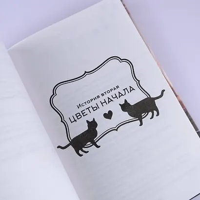 Она и ее кот. Ранобэ - фото 9