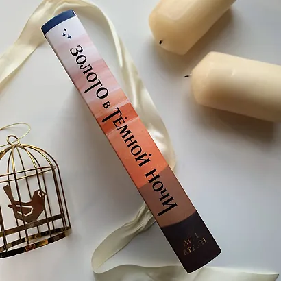 Золото в темной ночи - фото 5