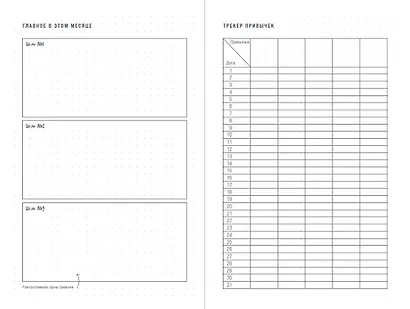 Опланнер: Фокус. Гибкость. Мотивация - фото 4