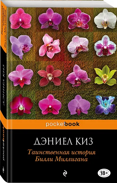 Таинственная история Билли Миллигана: роман - фото 3