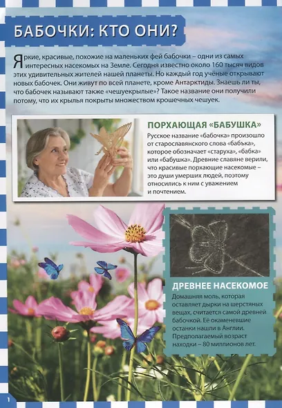 Бабочки - фото 2