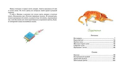 Растрёпанный воробей - фото 6