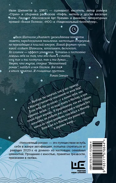 Непонятный роман - фото 2