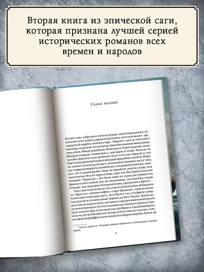 Капитан первого ранга: роман о капитане Джеке Обри и докторе Стивене Мэтьюрине - фото 4