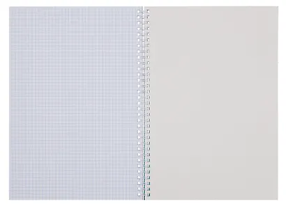 Тетрадь А4 96л кл. "Привет, я Моль!" спираль, мел.картон, выб.лак, двойная обложка, офсет - фото 3